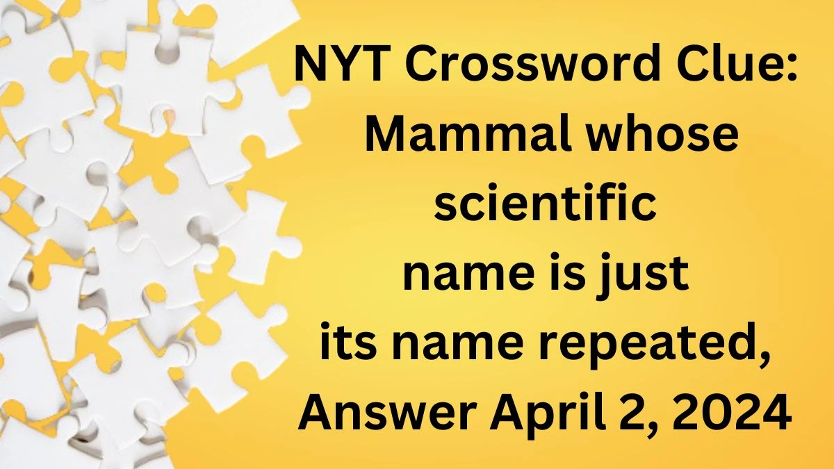 NYT Crossword Clue: Mammal whose scientific name is just its name repeated, Answer April 2, 2024