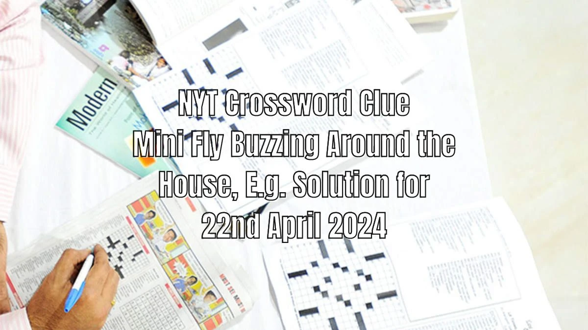 NYT Crossword Clue Mini Fly Buzzing Around the House, E.g. Solution for  22nd April 2024 - News