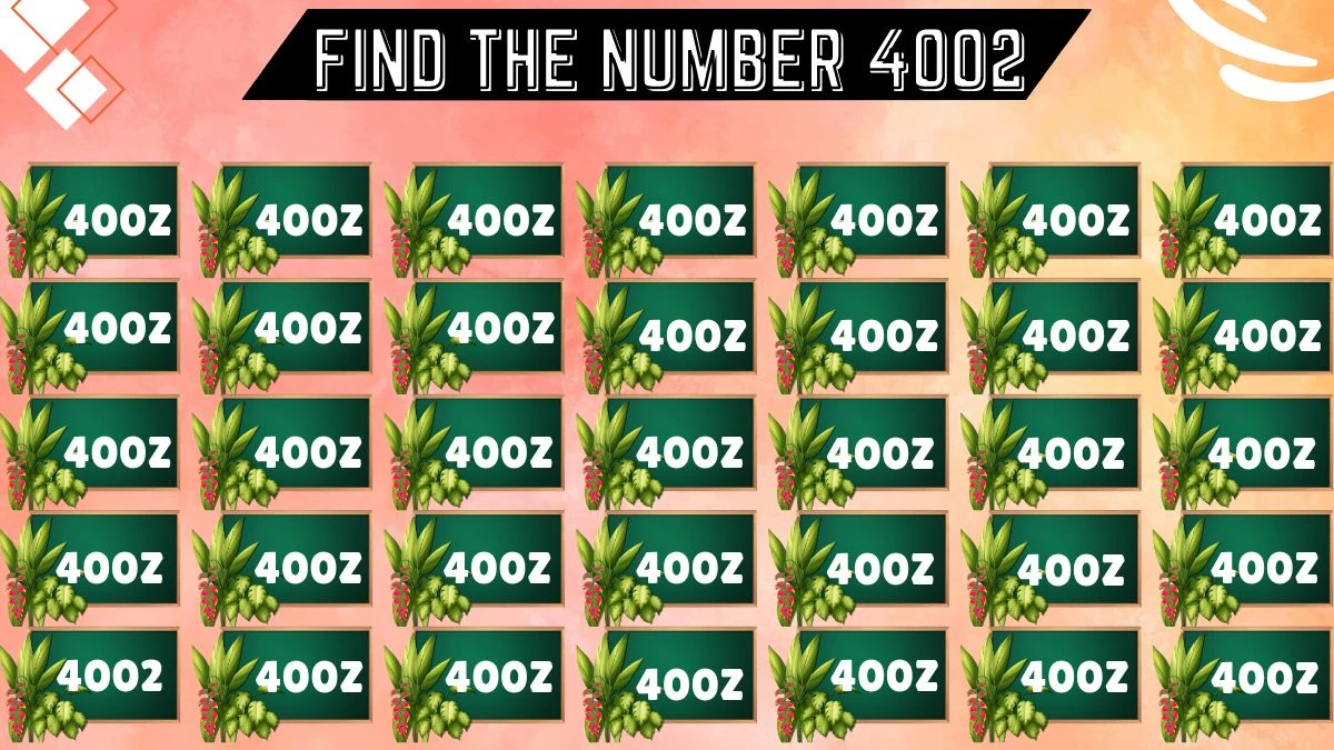 Observation Brain Challenge: Only the smartest people can Spot the Number 4002 in 5 Secs