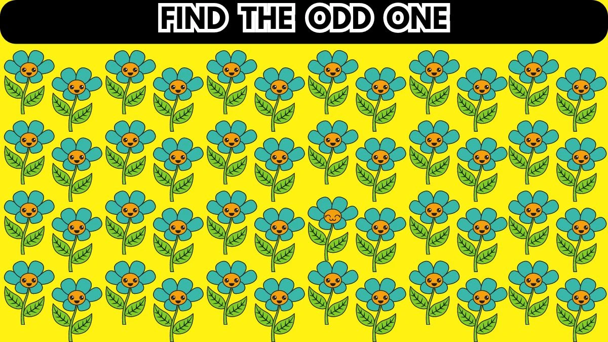 Odd One Out Puzzle Challenge: Only Keen Eyes Can Spot the Odd One in this Image in 5 Secs