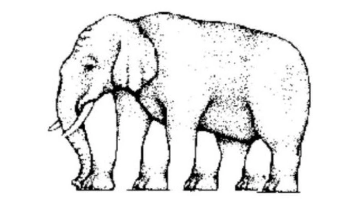 Optical Illusion Brain Challenge: How Many Legs Does This Elephant Have?