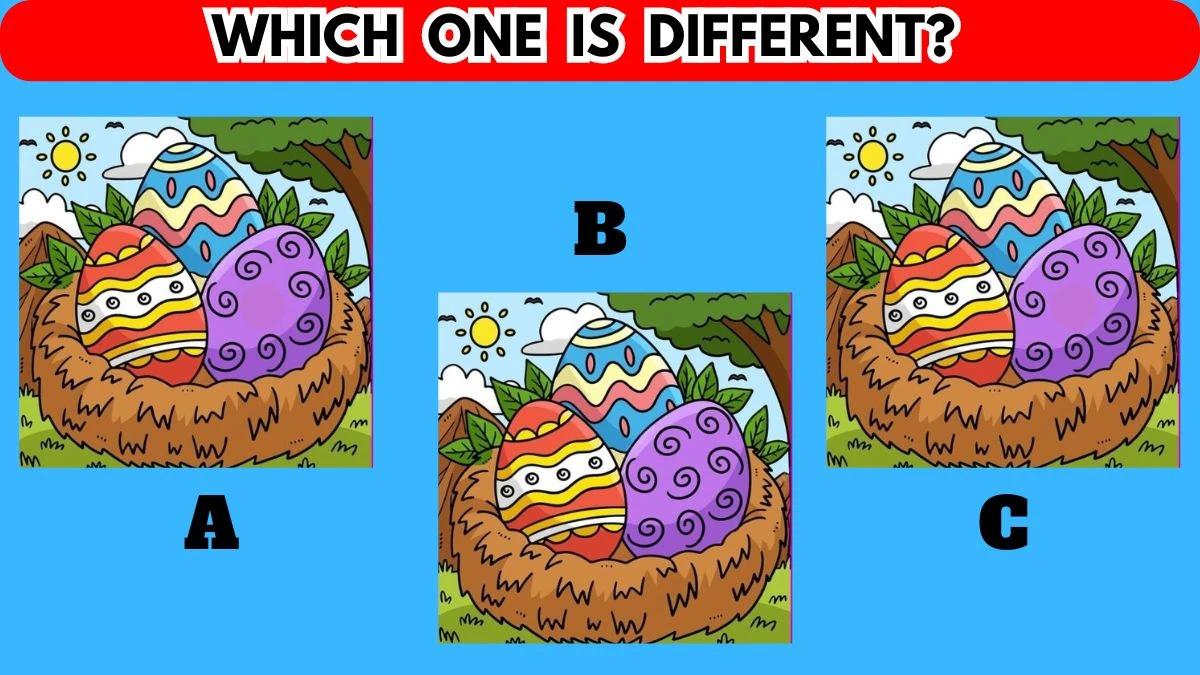 Optical Illusion Brain Challenge: Only the Smartest People Can Spot the ...
