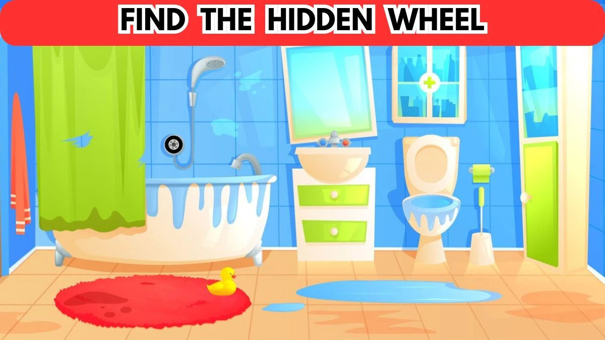 Optical Illusion Eye Test: Only Eagle Eyes Can Spot the Hidden Wheel in this Bathroom Image in 8 Secs