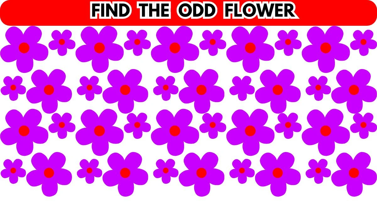 Optical Illusion: Only People with Hawk Eyes Can Spot the Odd Flower in ...