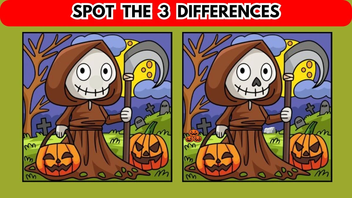 Optical Illusion Spot the Difference Picture Puzzle: Only Sharp Eyes ...
