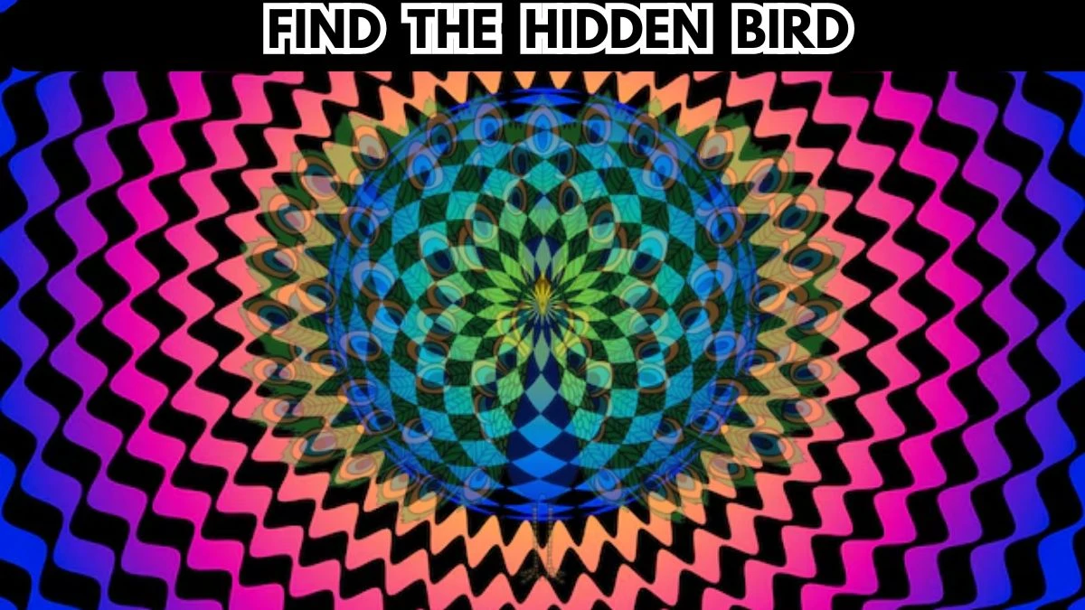Optical Illusion Vision Test: Only 5 Out of 10 Can Find The Hidden Bird ...