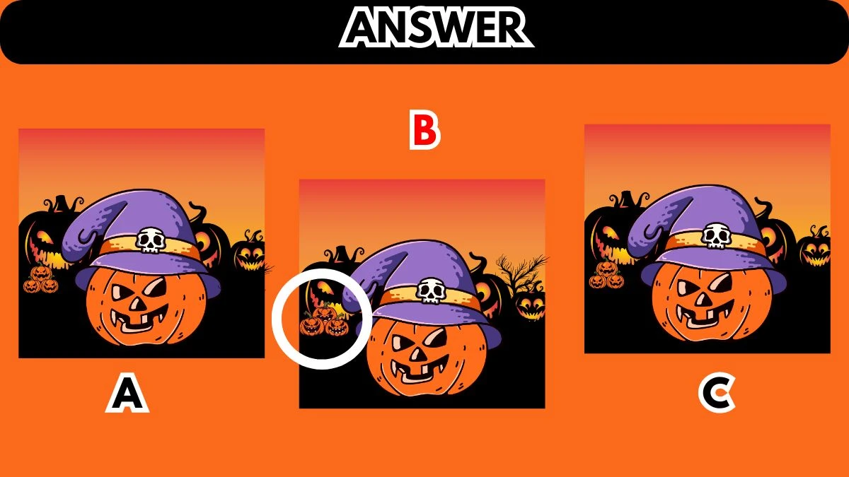 Picture Puzzle IQ Test: Train your brain by finding the Different One in 7 Secs