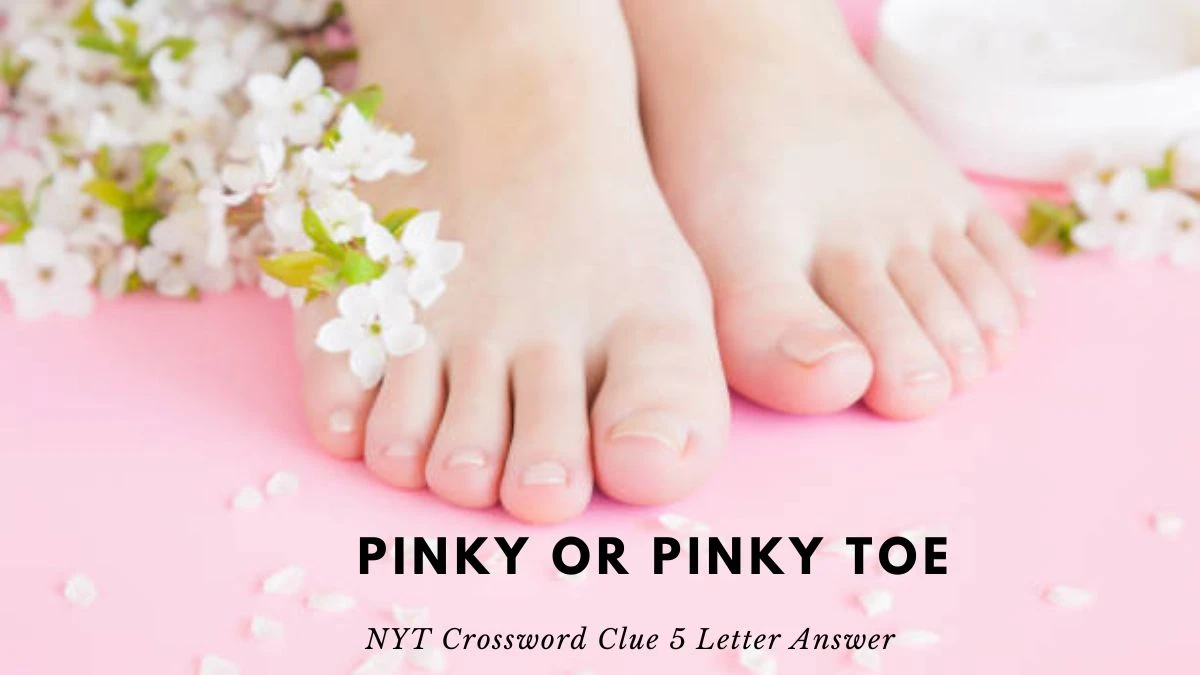 Pinky or Pinky Toe Crossword Clue NYT 5 Letter Answer