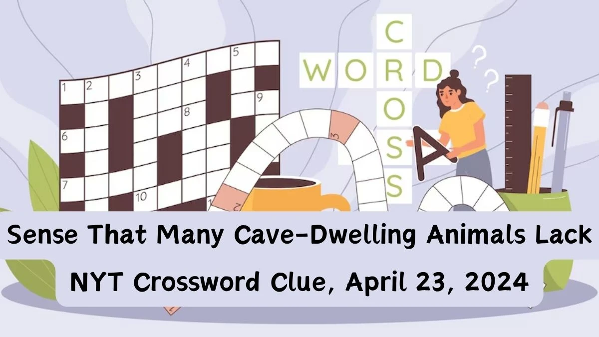 Sense That Many Cave-Dwelling Animals Lack NYT Crossword Clue, April 23, 2024