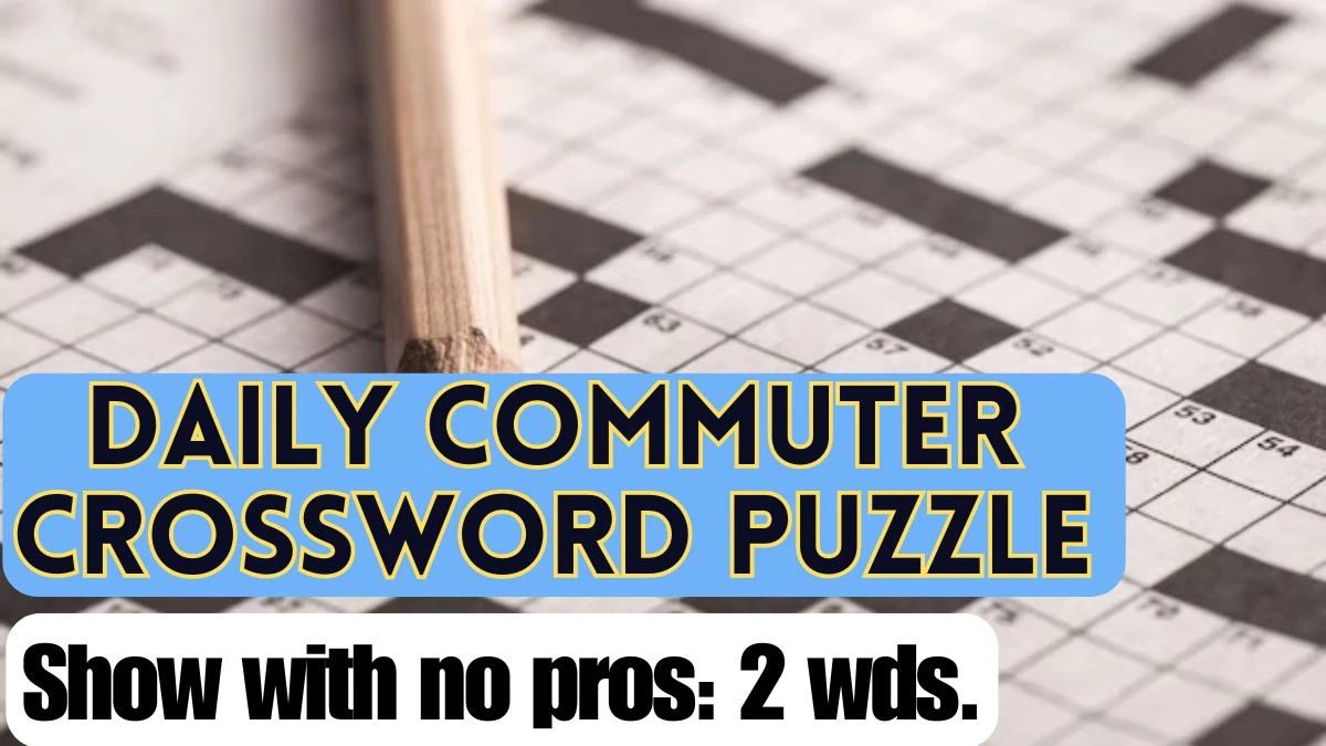 Show with no pros: 2 wds. Daily Commuter Crossword Clue Answer April 22, 2024