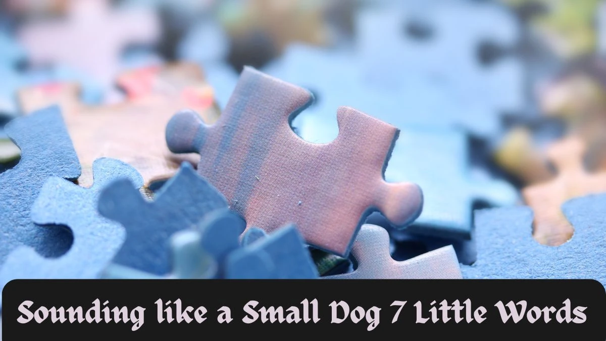 Sounding like a Small Dog 7 Little Words Puzzle Answer with 7 Letters