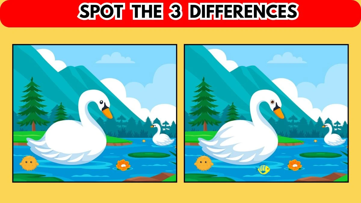 Spot the Difference Picture Puzzle Game: Only Eagle Eyes Can Spot the 3 Differences in this Swam Image in 10 Secs