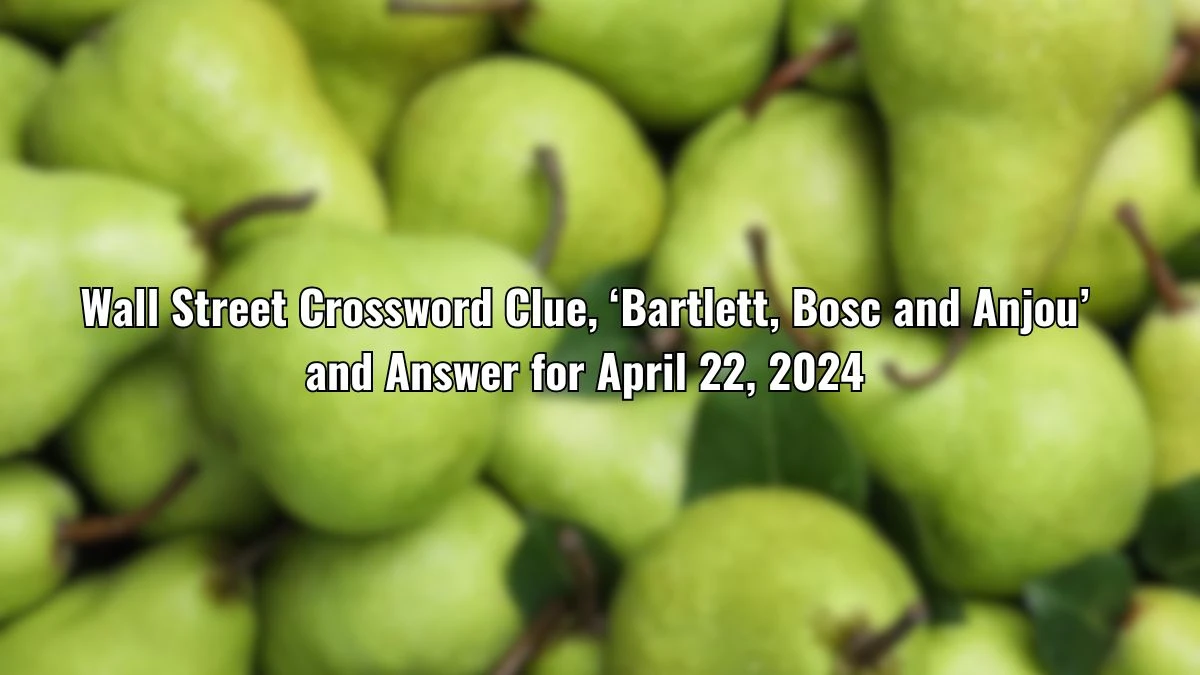 Wall Street Crossword Clue, ‘Bartlett, Bosc and Anjou’ and Answer for April 22, 2024