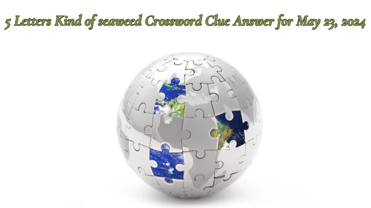 5 Letters Kind of seaweed Crossword Clue Answer for May 23, 2024