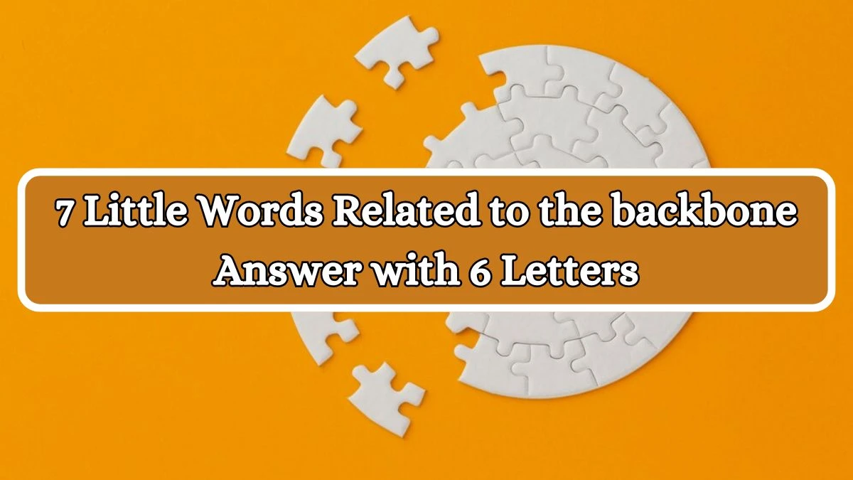 7 Little Words Related to the backbone Answer with 6 Letters