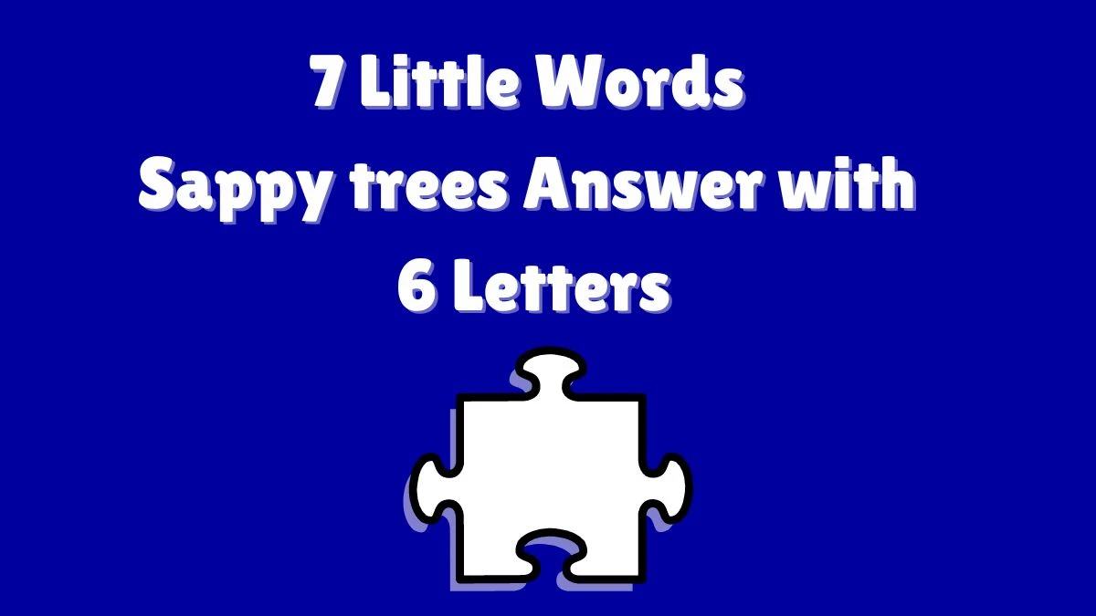 7 Little Words Sappy trees Answer with 6 Letters