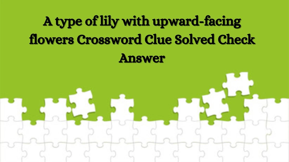 A type of lily with upward-facing flowers Crossword Clue Solved Check Answer