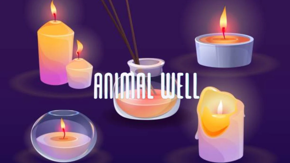 Animal Well Match and Candle Locations, Where to Find Match Locations and Candle in Animal Well?