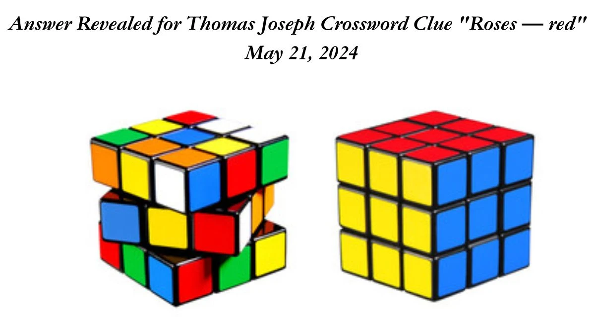 Answer Revealed for Thomas Joseph Crossword Clue Roses — red May 21, 2024
