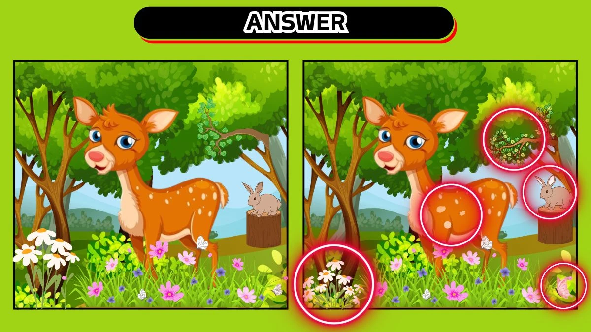Brain Teaser Spot the 5 Differences Picture Puzzle Game: Only Extra Sharp Eyes Can Spot the 5 Differences in this Deer Image in 12 secs