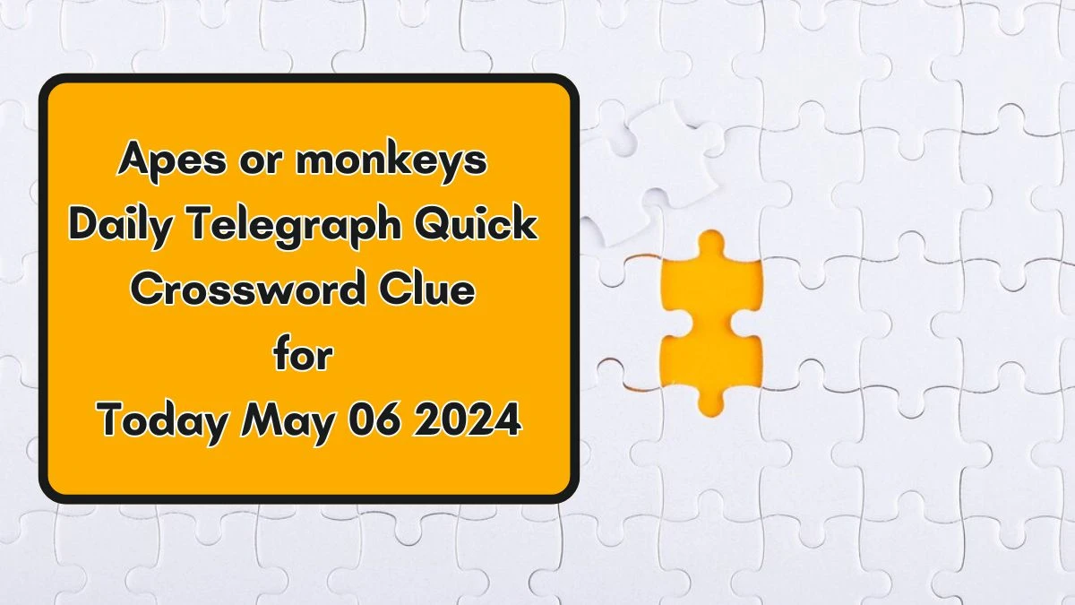 Apes or monkeys Daily Telegraph Quick Crossword Clue for Today May 06 2024 Check Answers Here