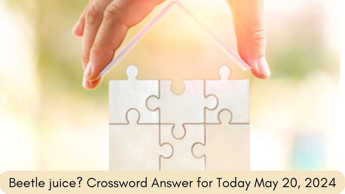 Beetle juice? Crossword Answer for Today May 20, 2024