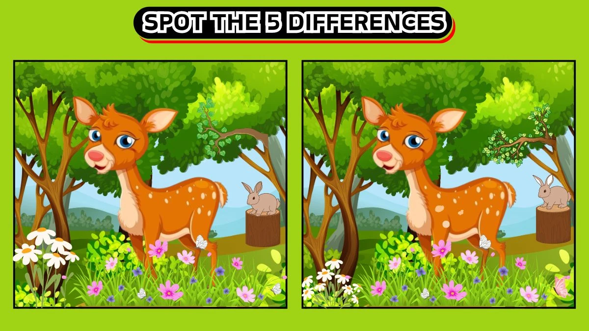 Brain Teaser Spot the 5 Differences Picture Puzzle Game: Only Extra Sharp Eyes Can Spot the 5 Differences in this Deer Image in 12 secs