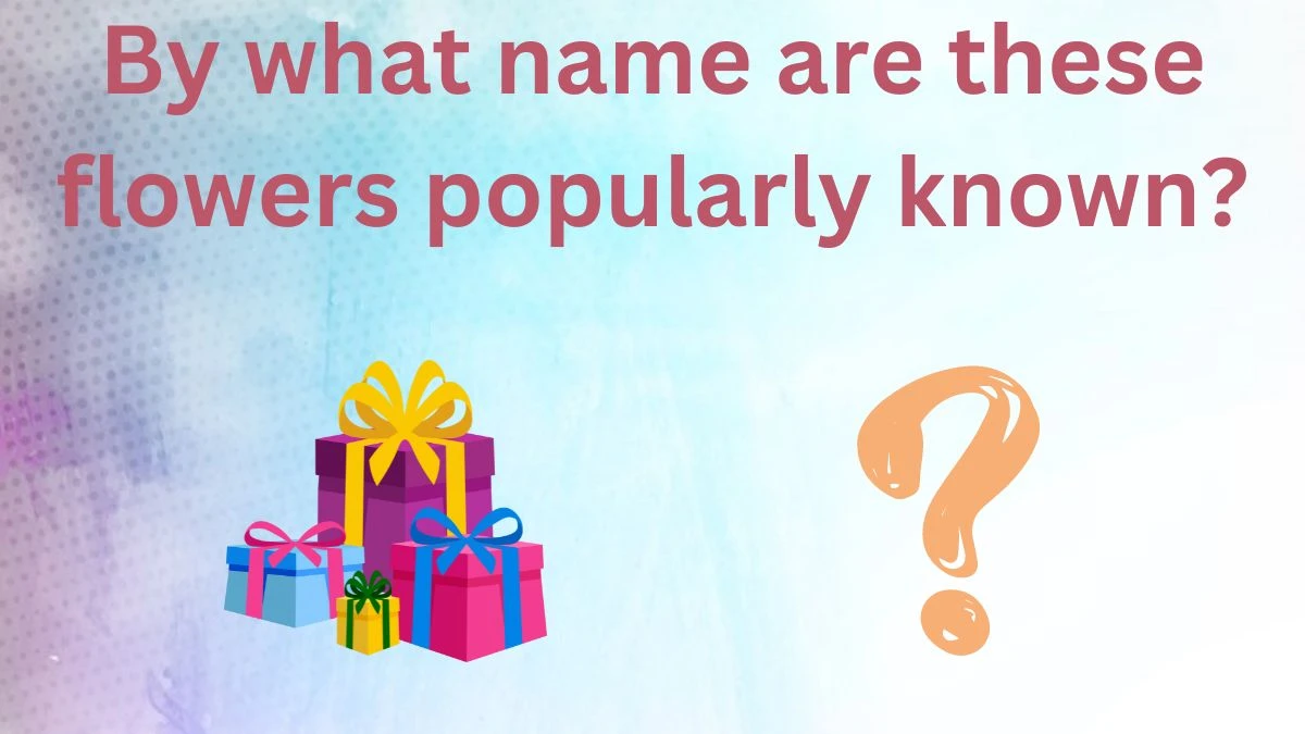 By what name are these flowers popularly known? Amazon Quiz Answer Today May 29, 2024