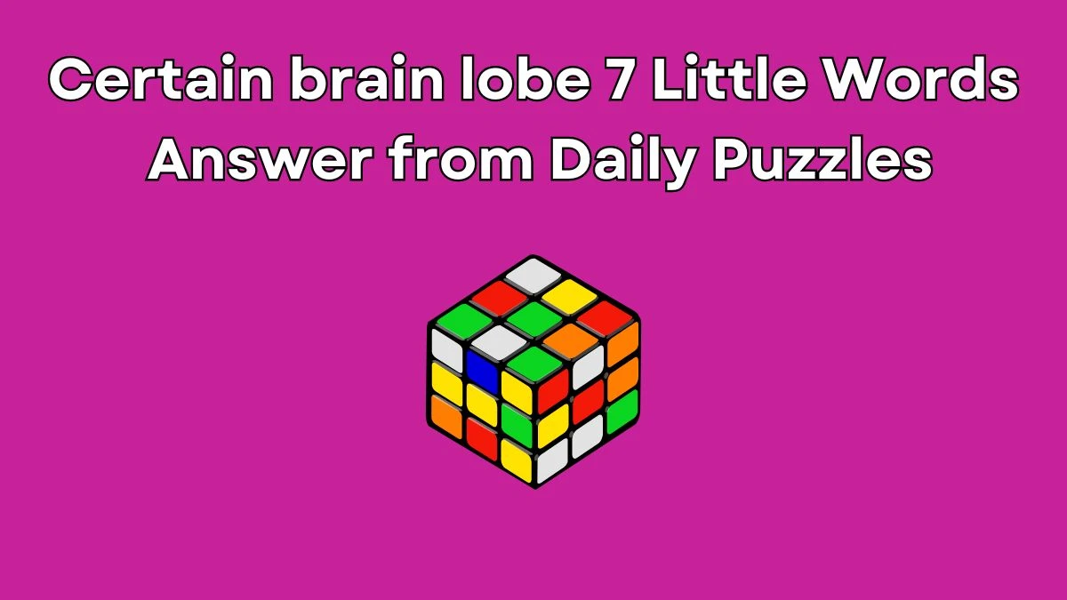 Certain brain lobe 7 Little Words Answer from Daily Puzzles