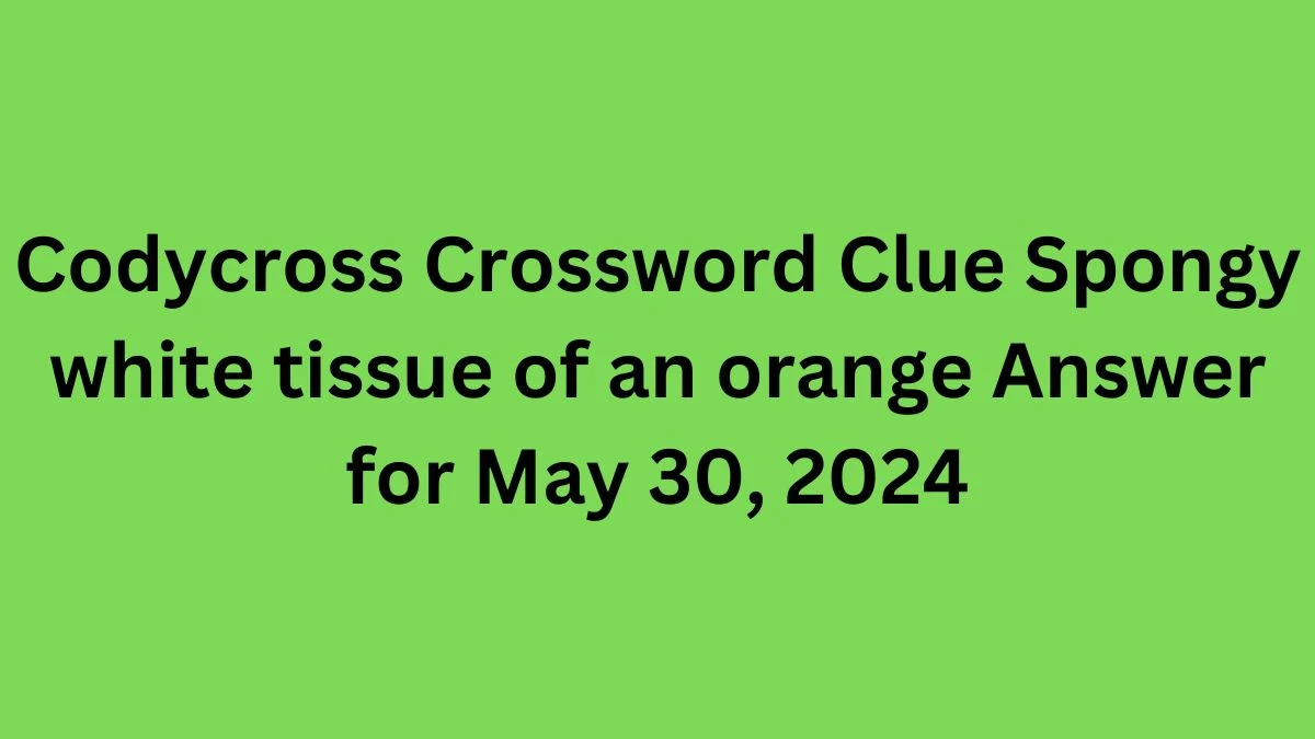 Codycross Crossword Clue Spongy white tissue of an orange Answer for May 30, 2024