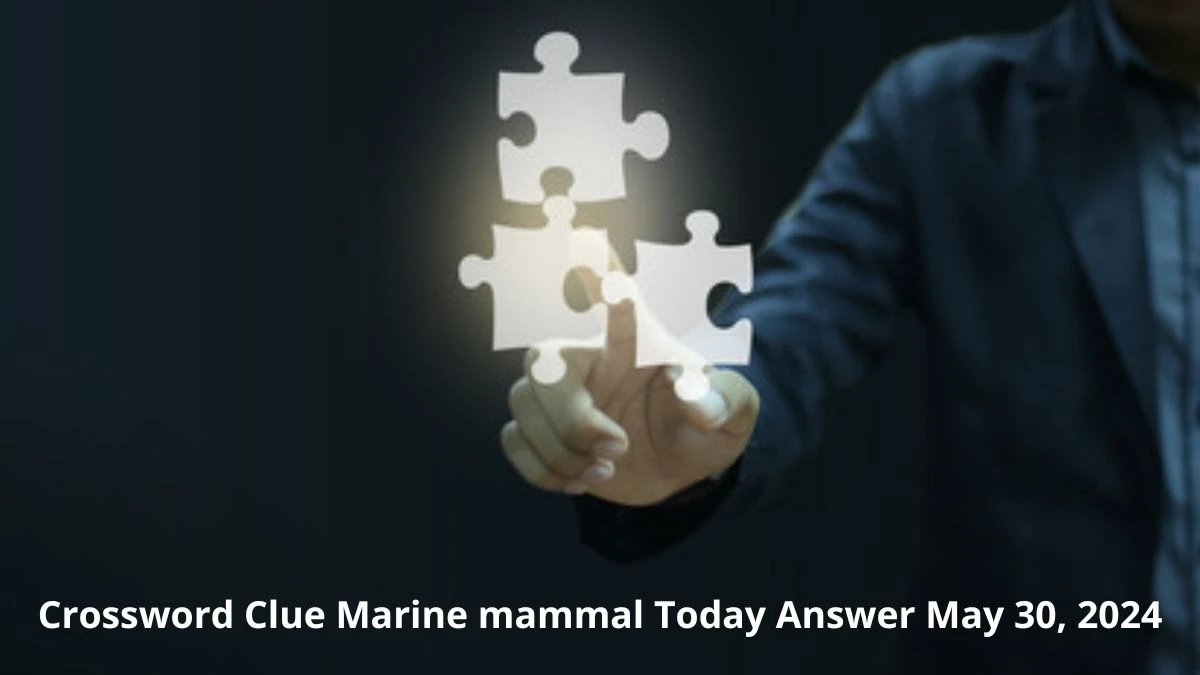 Crossword Clue Marine mammal Today Answer May 30, 2024