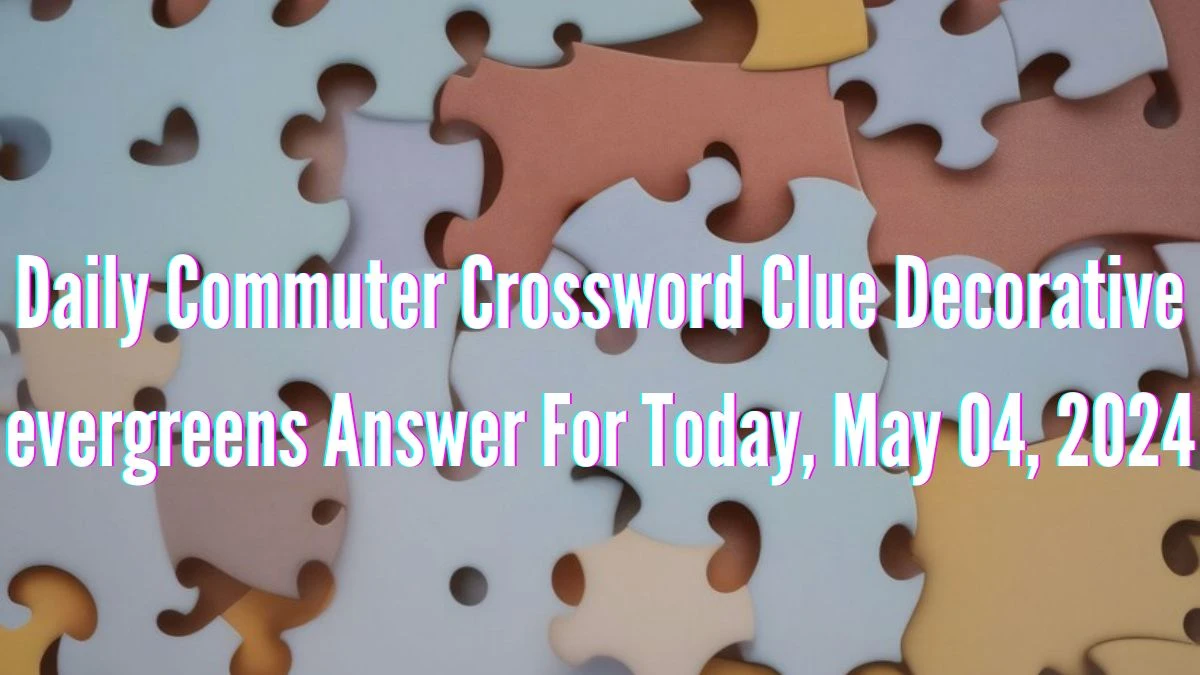 Daily Commuter Crossword Clue Decorative evergreens Answer For Today, May 04, 2024