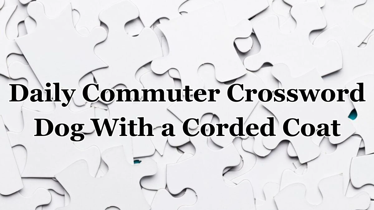 Daily Commuter Crossword Clue Dog With a Corded Coat Answer for May 25, 2024