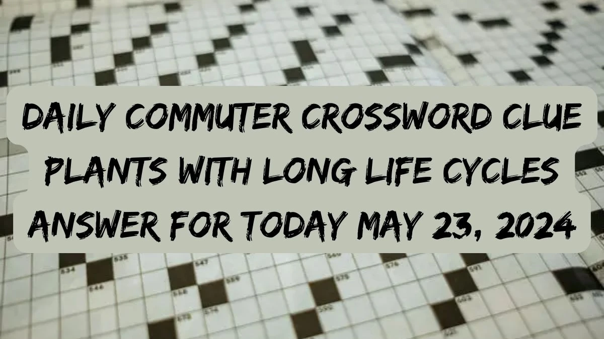 Daily Commuter Crossword Clue Plants with long life cycles Answer For Today May 23, 2024