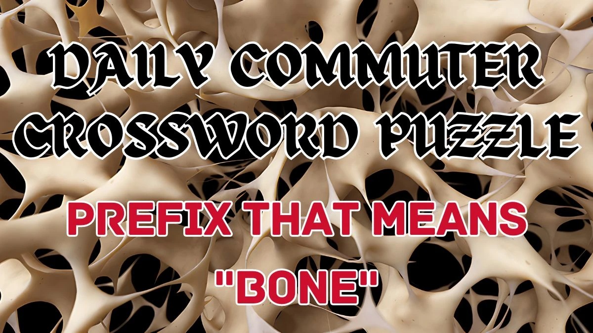 Daily Commuter Crossword Clue Prefix that means bone And Answers Revealed as of May 13, 2024 News