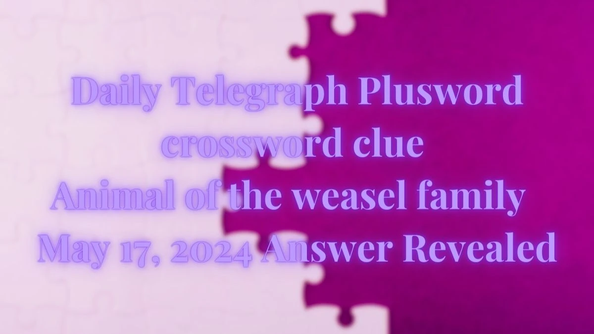 Daily Telegraph Plusword crossword clue Animal of the weasel family  May 17, 2024 Answer Revealed