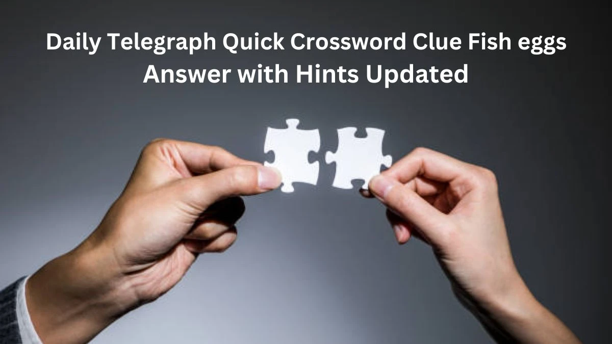 Daily Telegraph Quick Crossword Clue Fish eggs Answer with Hints Updated