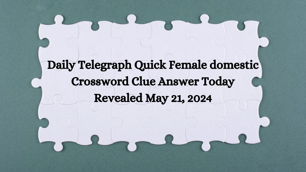 Daily Telegraph Quick Female domestic Crossword Clue Answer Today Revealed May 21, 2024