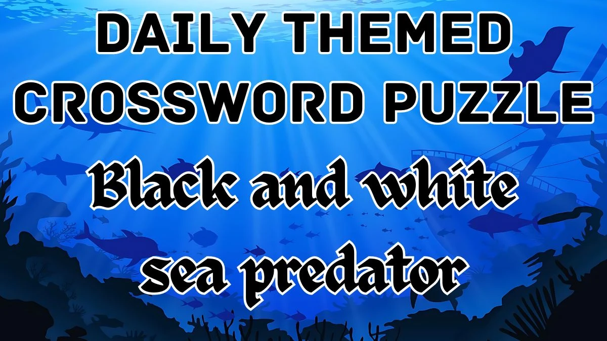 Daily Themed Crossword Black and white sea predator Check the Answer for May 8, 2024