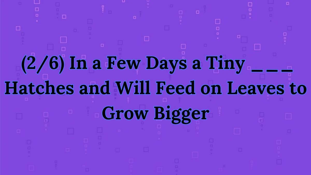 Daily Themed Crossword Clue (2/6) In a Few Days a Tiny ___ Hatches and Will Feed on Leaves to Grow Bigger Get Answer for May 17, 2024