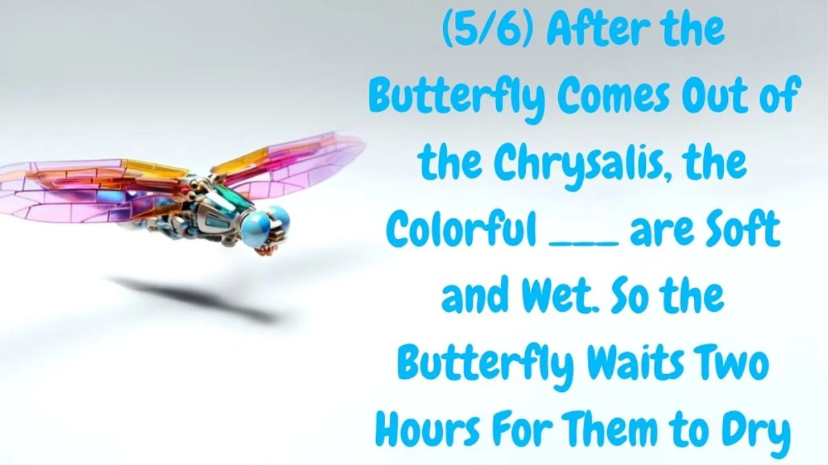 Daily Themed Crossword Clue (5/6) After the Butterfly Comes Out of the Chrysalis, the Colorful ___ are Soft and Wet. So the Butterfly Waits Two Hours For Them to Dry as of May 17, 2024