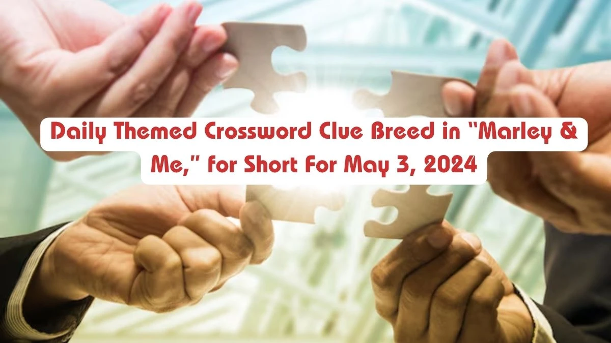 Daily Themed Crossword Clue Breed in “Marley & Me,” for Short For May 3, 2024