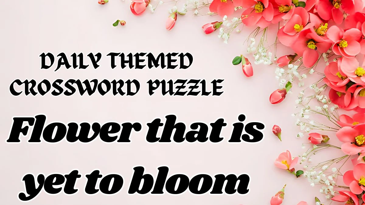 Daily Themed Crossword Flower that is yet to bloom Check the Answer for May 11, 2024