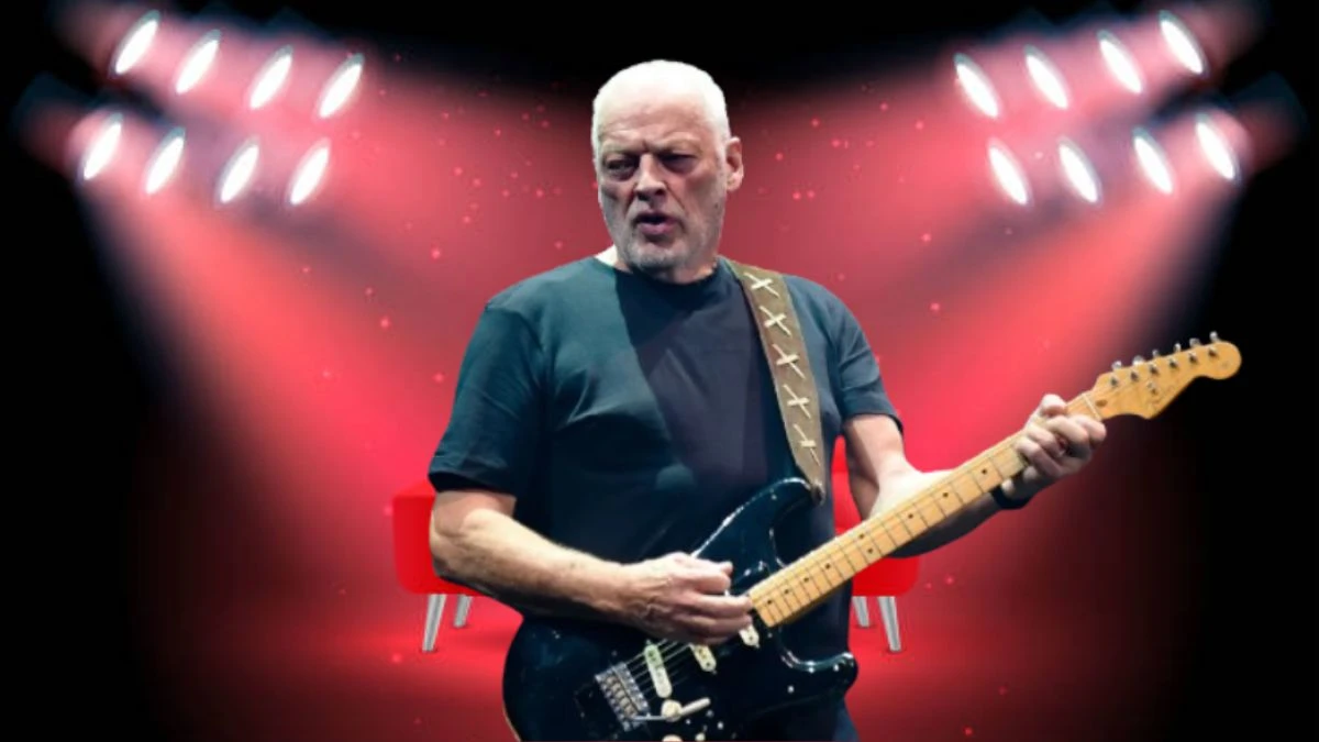 David Gilmour Presale Code 2024, How to Get David Gilmour Presale