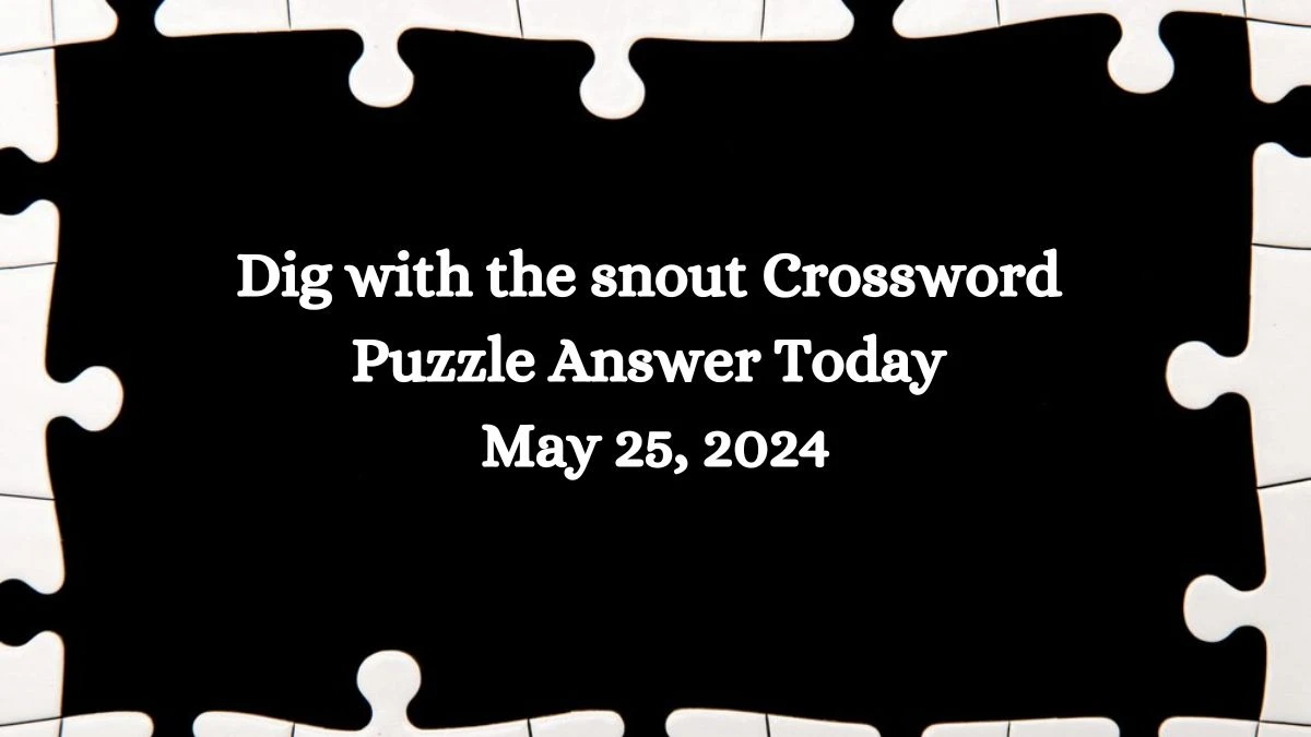 Dig with the snout Crossword Puzzle Answer Today May 25, 2024 - News