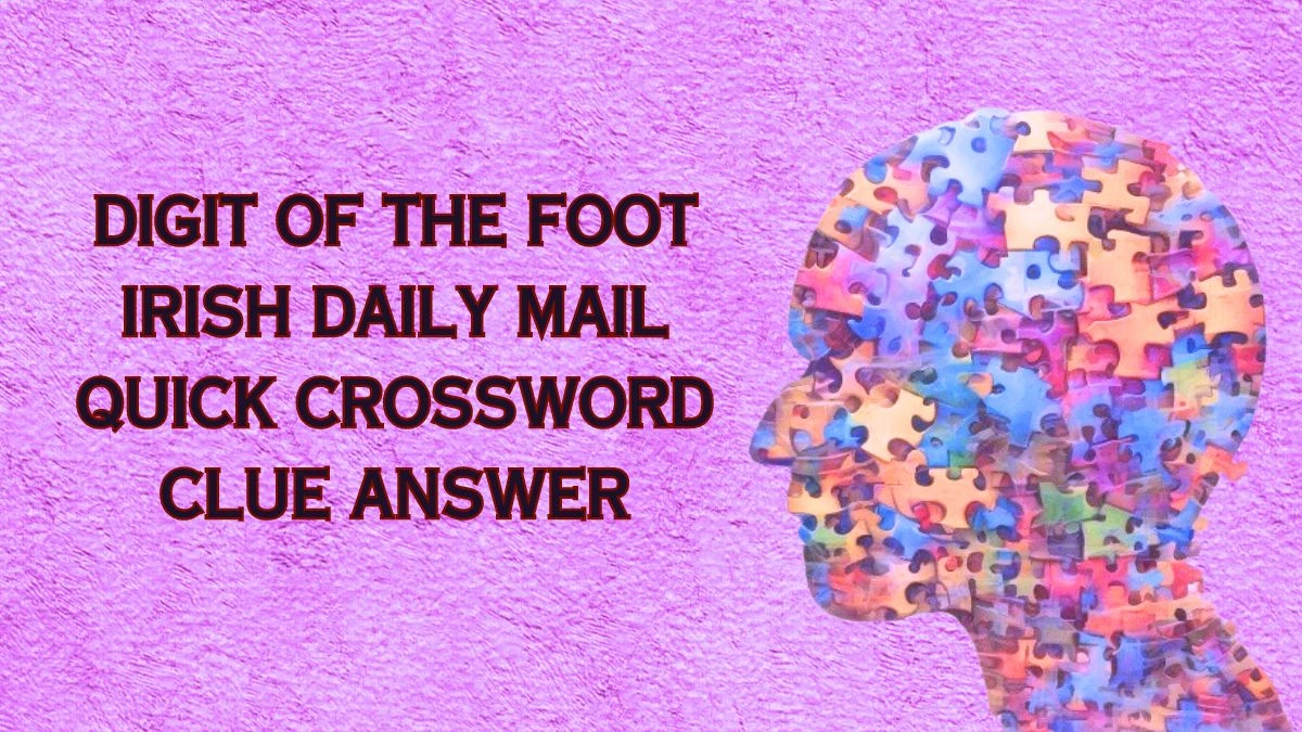 Digit of the foot Irish Daily Mail Quick Crossword Clue Answer Revealed May 4, 2024