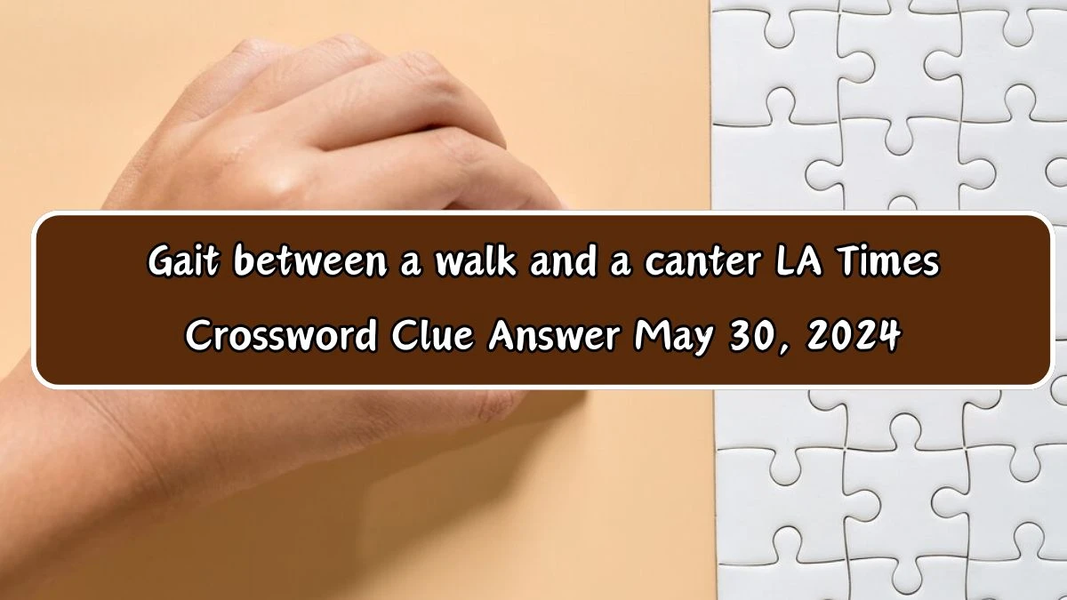 Gait between a walk and a canter LA Times Crossword Clue Answer May 30