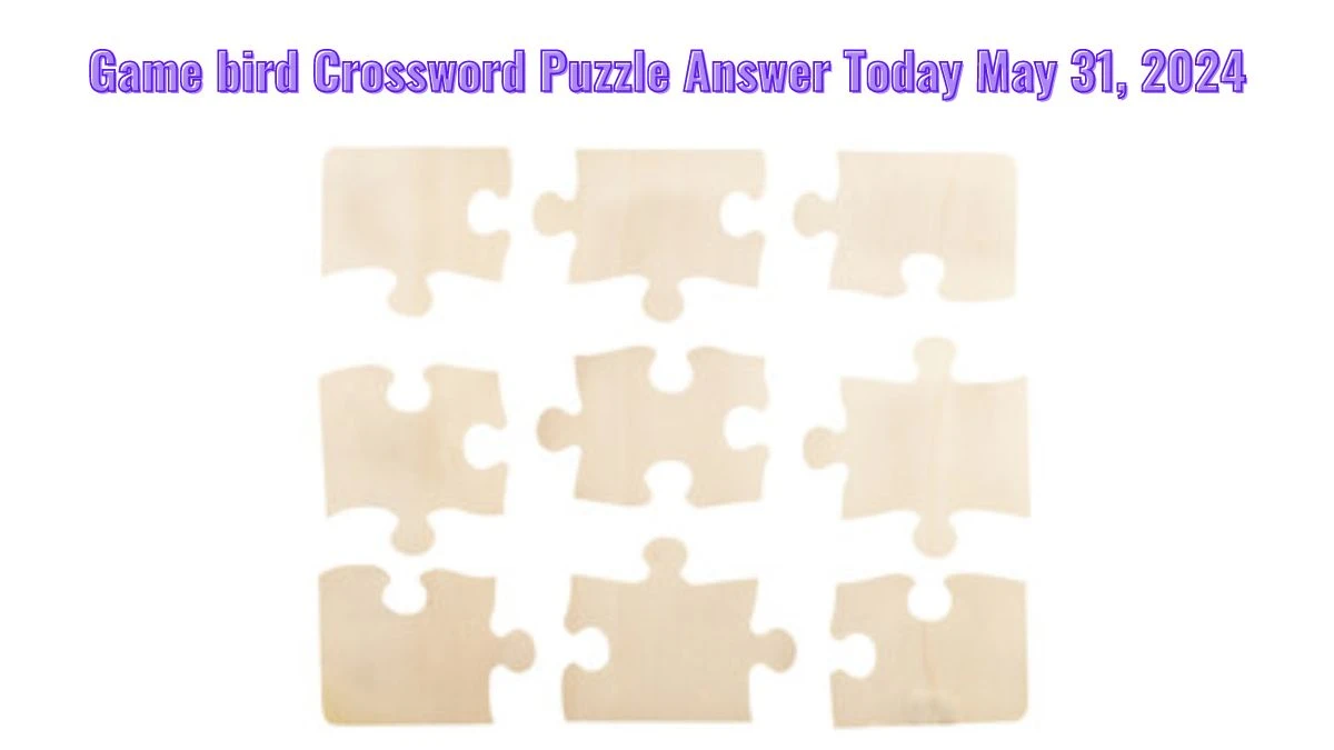 Game bird Crossword Puzzle Answer Today May 31 2024 News