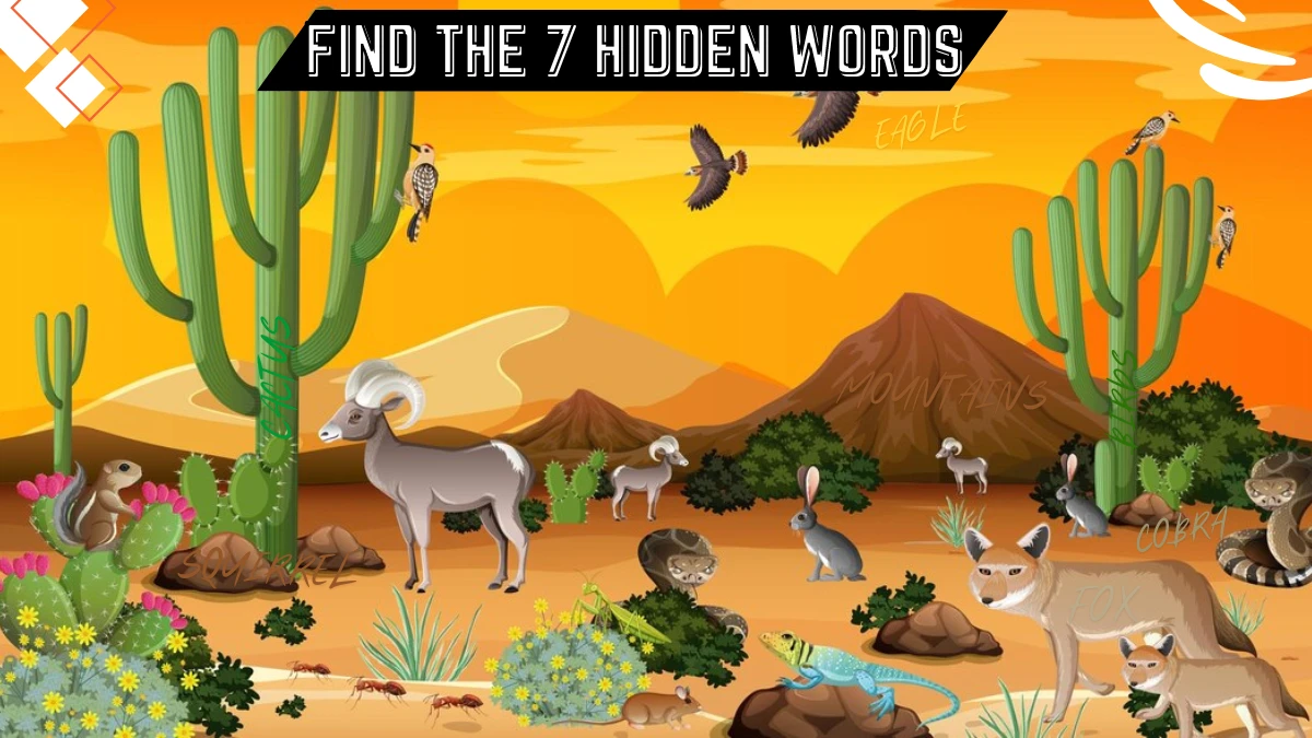 Genius IQ Test: Only 1 out of 9 can spot the 7 Hidden Words in this Desert Image in 10 Secs