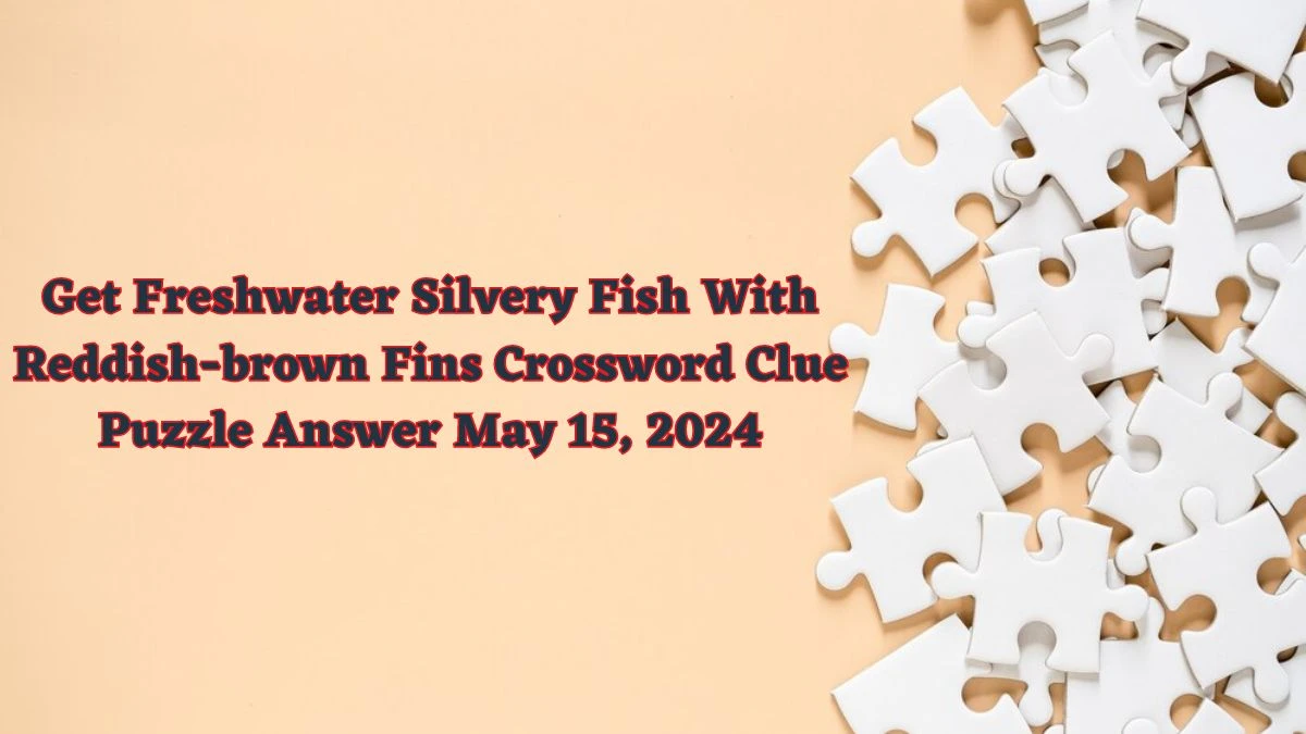 Get Freshwater Silvery Fish With Reddish-brown Fins Crossword Clue Puzzle Answer May 15, 2024